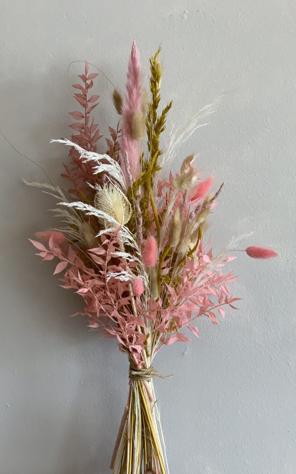 Evighedsblomst “Lyserøde toner”