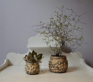 Flot plantesæt i fine skjulere