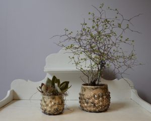 Flot plantesæt i fine skjulere