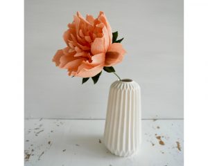 Den smukke ene