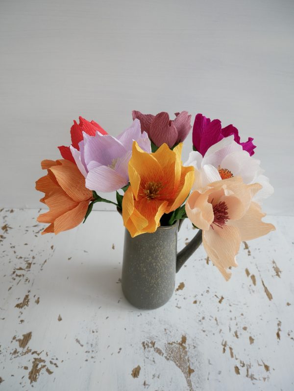 Evigblomst X