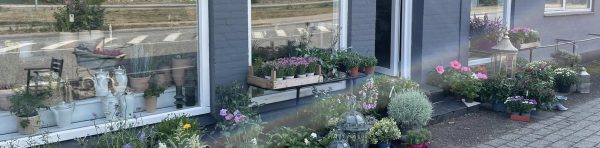 Rørvig Blomster