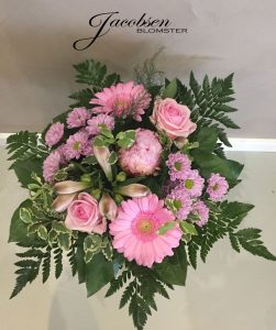 Rosadrøm