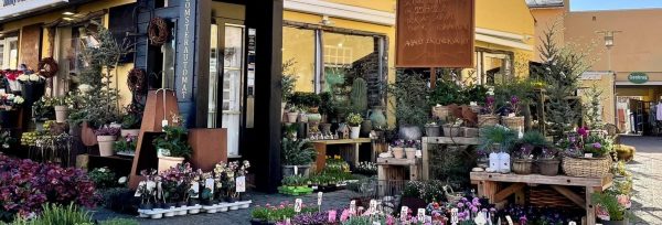 Tonnys Blomster