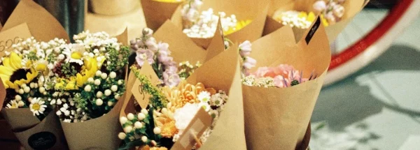 Binderiet Vestergade