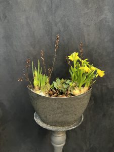 Flot sammenplantning (udendørs)