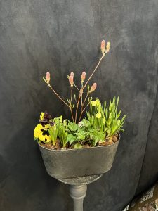 Flot sammenplantning (udendørs)