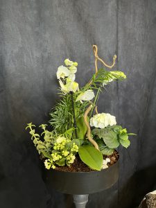 Flot sammenplantning