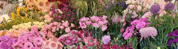 Den lille blomsterbutik