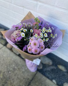 Rosa mild