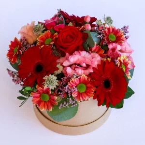 Hatteæske med rødlige blomster