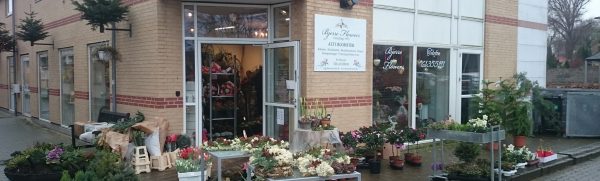 Bjerre flowers