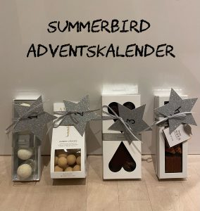 Summerbird Adventskalender🎄