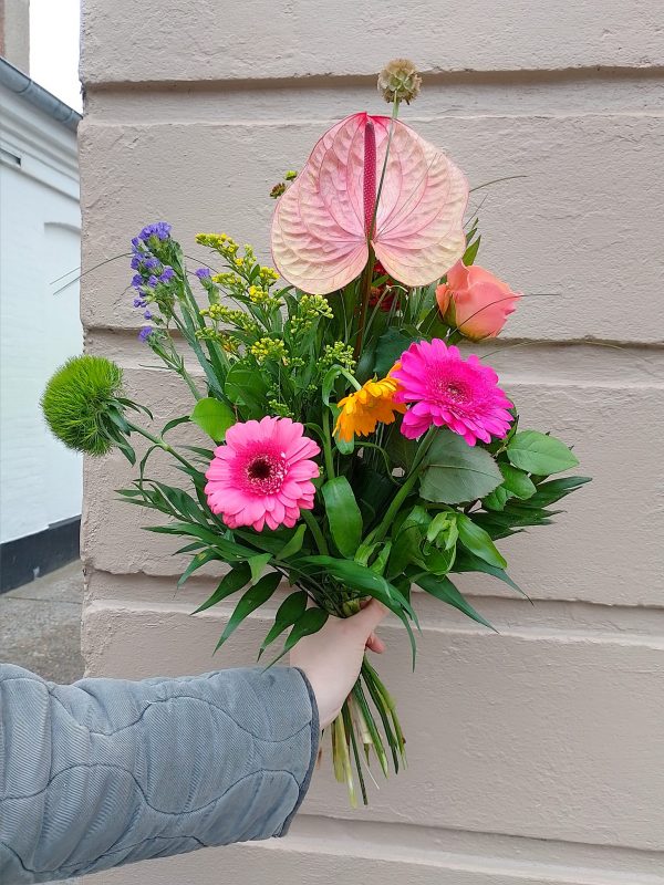 Høj og farverig
