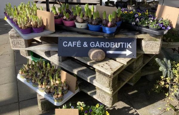 Torvehallen Sdr. Vissing