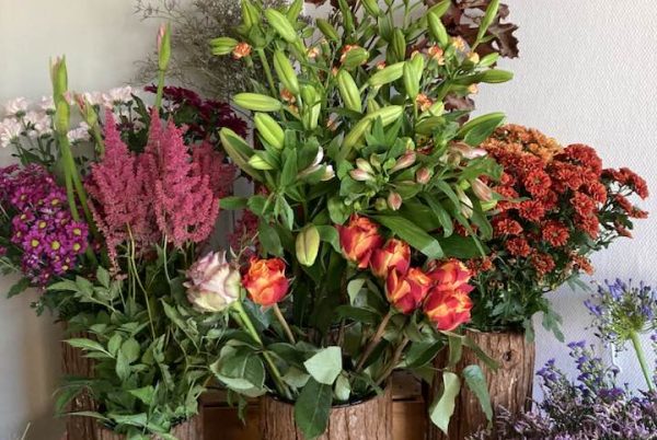 Torvehallen Sdr. Vissing - Blomster & Gaver