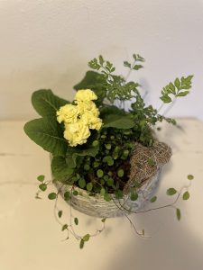 Forårs sammenplantning