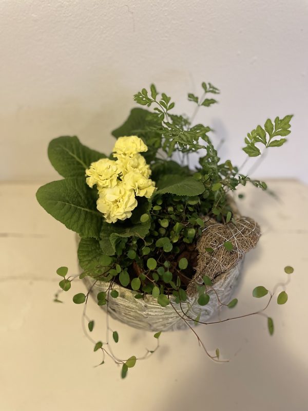 Forårs sammenplantning