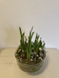 Forårs sammenplantning