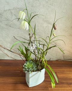 Sammenplantning